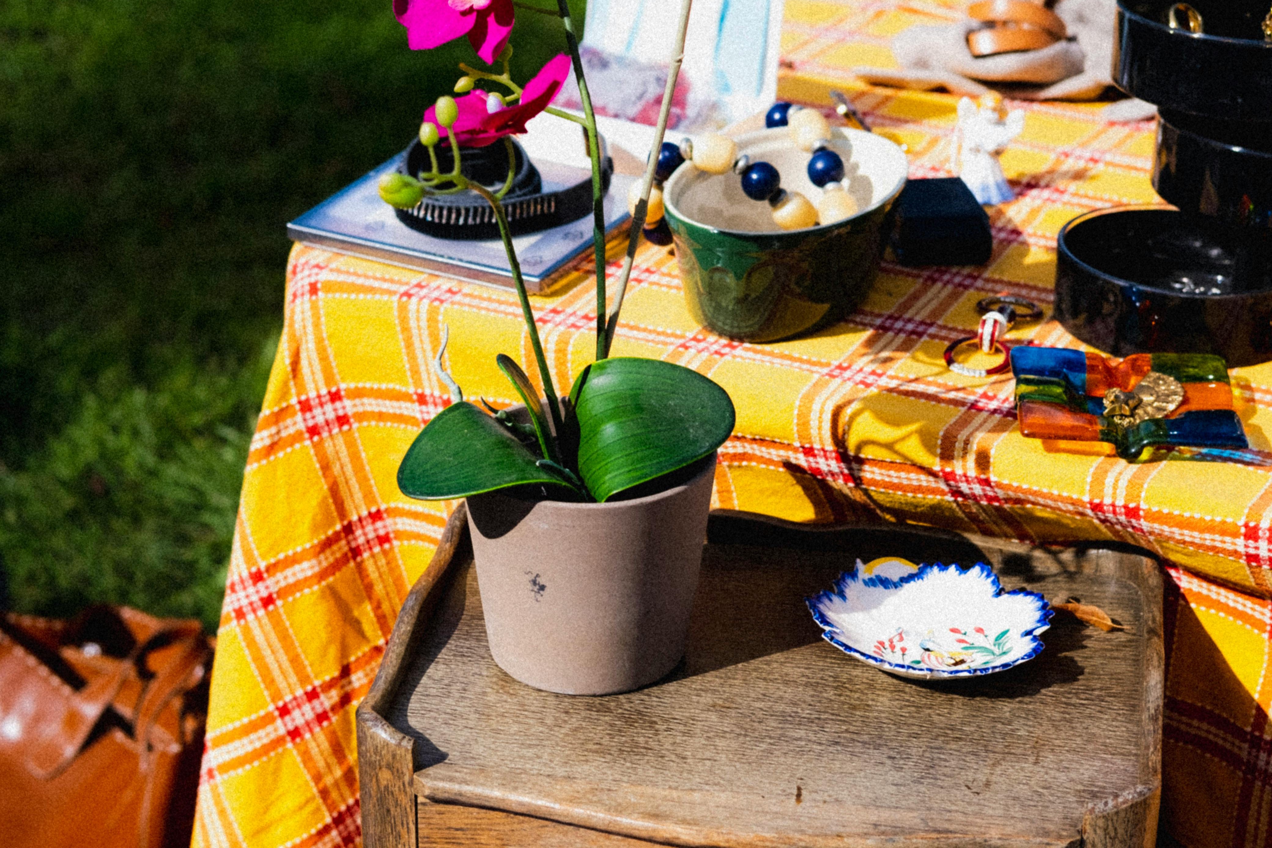 green bay leaves on wooden table